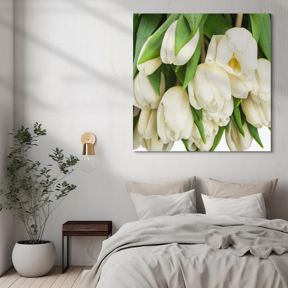 Obraz na płótnie 80x80 - Białe tulipany w pełnym rozkwicie - białe, tulipany
