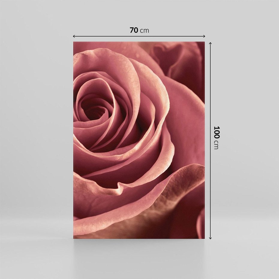 Obraz na płótnie 70x100 - Romantyczna Róż - róża, kwiat