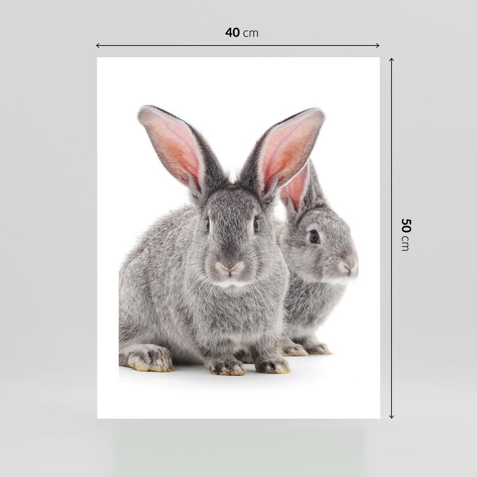 Plakat bez ramy 40x50 - Uroczy królik wśród natury - królik, zając