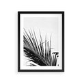 Plakat w ramie 30x40 - Sztuka Natury: Monochromatyczna Palma - palma, czarno białe zdjęcie - rama czarna