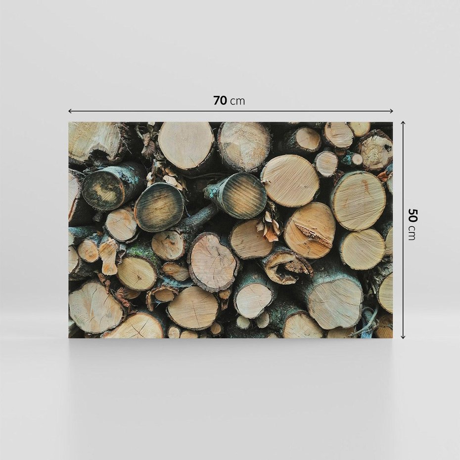 Obraz na płótnie 70x50 - Bliskość Natury - drewno, las