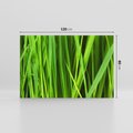 Obraz na płótnie 120x80 - Trawa w abstrakcji: natura przekształcona - trawa, abstrakcja