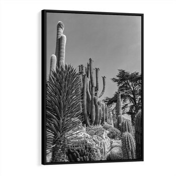 Obraz w ramie 70x100 - Pustynny Klimat - czarno białe zdjecie, pustynia - rama czarna