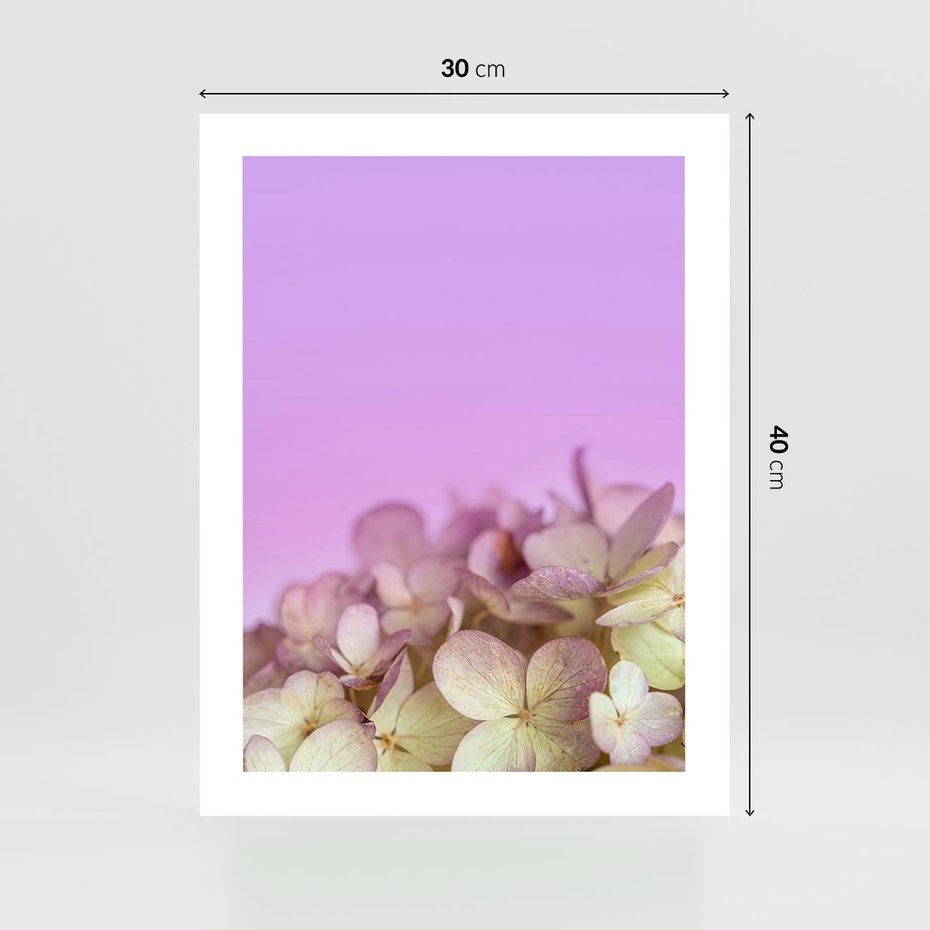 Plakat bez ramy 30x40 - Kwiatowa Uroda - kwiaty, hortensje