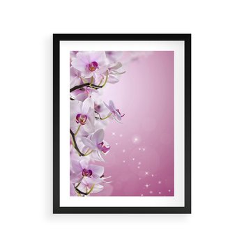Plakat w ramie 30x40 - Relaksujące Piękno - kwiaty, orchidea - rama czarna