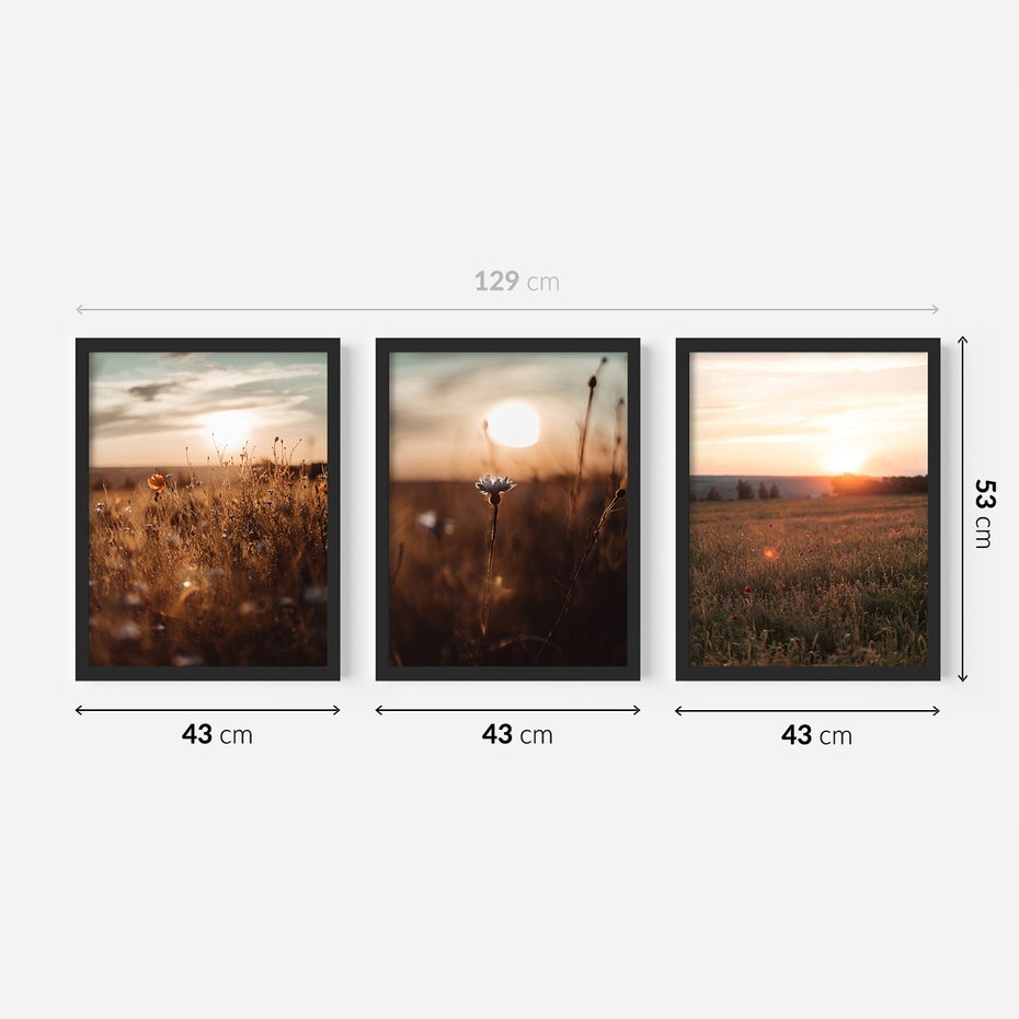 Zestaw obrazy w ramie 40x50 galeria - Zachód, słońca, łąka, kwiaty - rama czarna