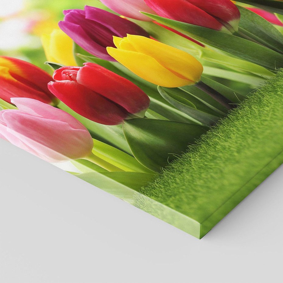 Obraz na płótnie 100x70 - delikatność kwiatowego świata - tulipany, kwiaty