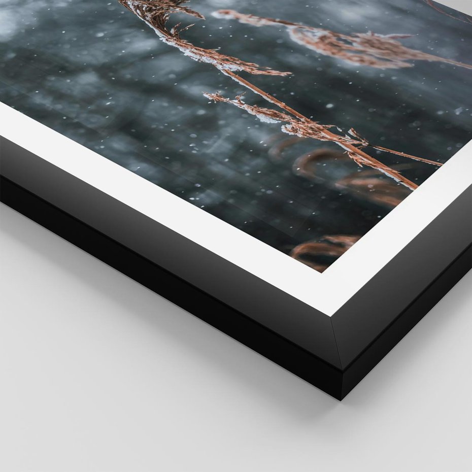 Plakat w ramie 30x40 - Zima na Łonie Natury - sucha wysoka trawa, w zimie - rama czarna