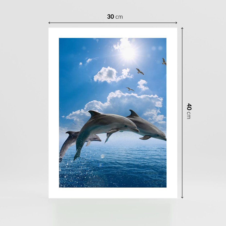 Plakat bez ramy 30x40 - Spotkanie z naturą - morze, delfiny