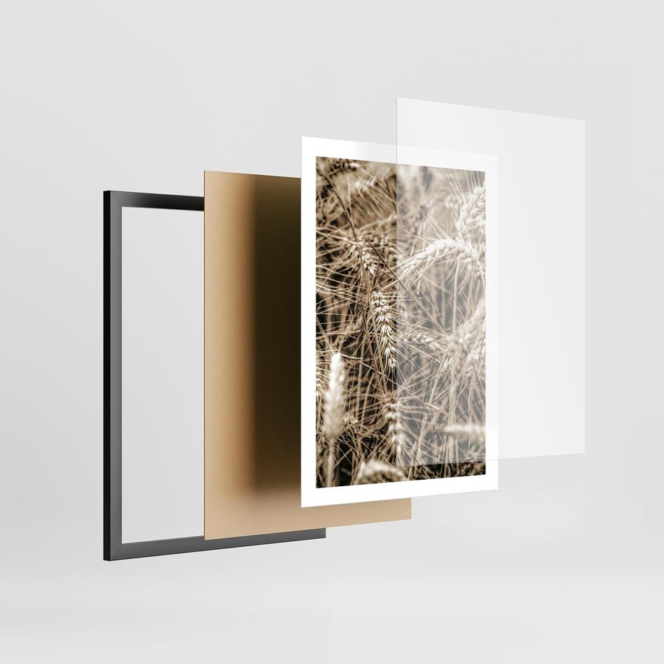Plakat w ramie 50x70 - Zbliżenie na Kłosy Zboża - zboża, kłosy zboża - rama czarna