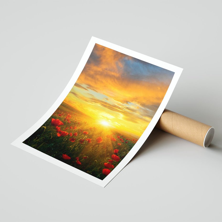 Plakat bez ramy 40x50 - Magia zachodu słońca na łące z makami - łąka, zachód słońca