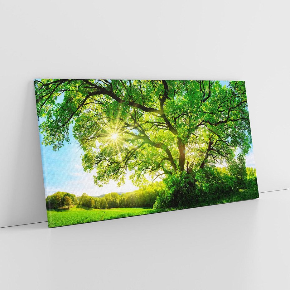 Obraz na płótnie 120x60 - Natura w pełnym rozkwicie - drzewo, niebo