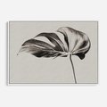 Obraz w ramie 70x50 - Szepczący Liść - szkic, czarno biały - rama biała