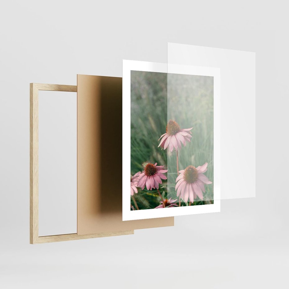 Plakat w ramie 40x50 - Natura w Pełnym Blasku - kwiaty na łące, różowe kwiaty polne - rama drewno
