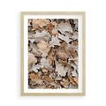 Plakat w ramie 50x70 - Nostalgiczny Pejzaż - suche liście, jesień - rama drewno