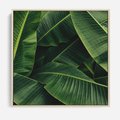 Obraz w ramie 80x80 - Zaklęta roślinna ekspresja - liście bananowca, gęsto ułożone - rama drewno