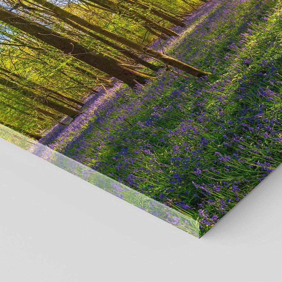 Obraz na płótnie 100x50 - Uroda lasu: harmonia drzew - las, drzewa