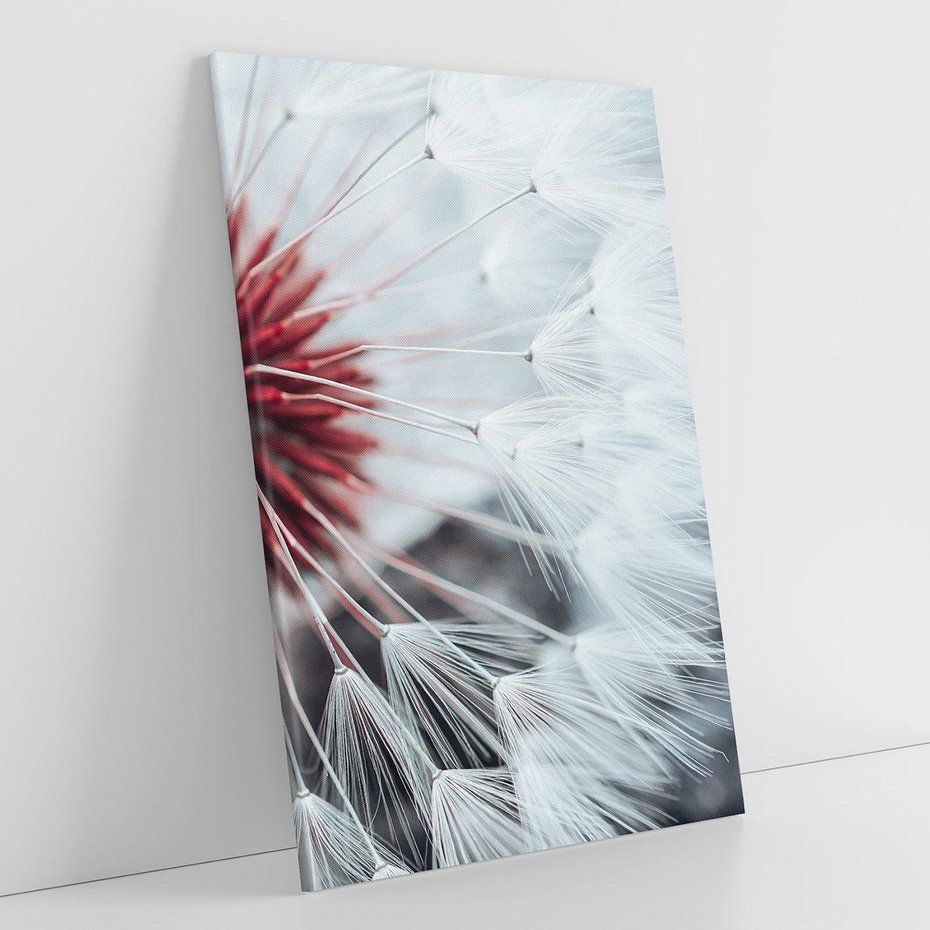 Obraz na płótnie 80x120 - Makro świat dmuchawca - dmuchawiec, makro