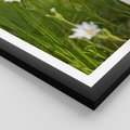 Plakat w ramie 30x40 - Kolorowa łąka - stokrotki, łąka - rama czarna