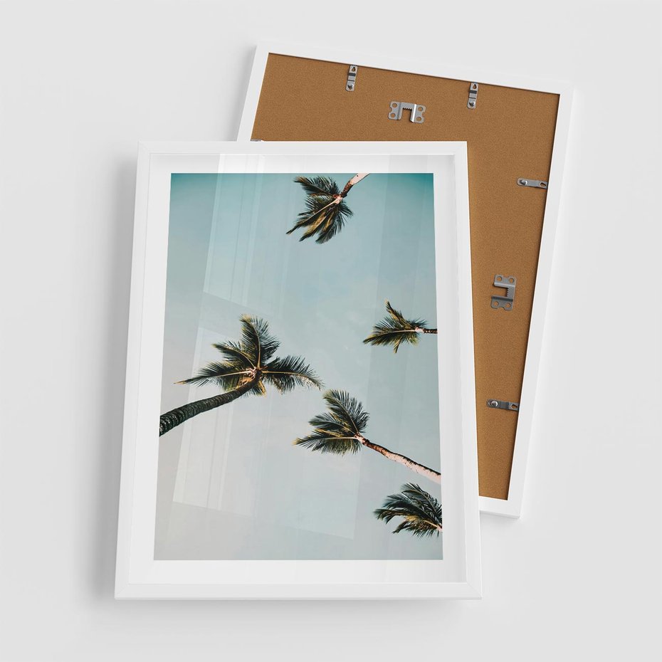 Plakat w ramie 50x70 - Palmy i Niebo - palmy, ujęcie z dołu - rama biała