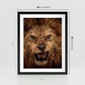 Plakat w ramie 40x50 - Władca Sawanny - lew, sawanna - rama czarna