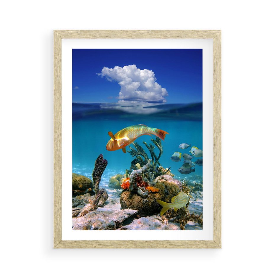 Plakat w ramie 50x70 - Podwodna rafa koralowa: kolorowy oceanowy świat - rafa, koralowa - rama drewno