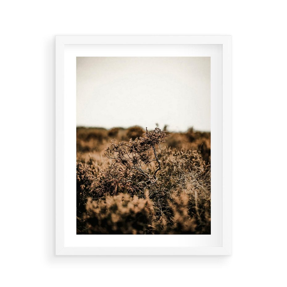 Plakat w ramie 40x50 - Krajobraz W Naturze: Beże i Brązy - suche krzewy, natura - rama biała