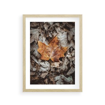 Plakat w ramie 30x40 - Jesienne Czarowanie - suchy liść, żółty - rama drewno