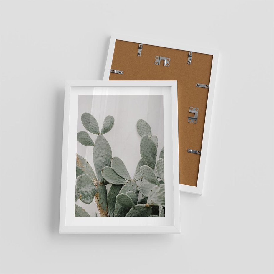 Plakat w ramie 30x40 - Imponujący Kaktus - duży kaktus, opuncja - rama biała
