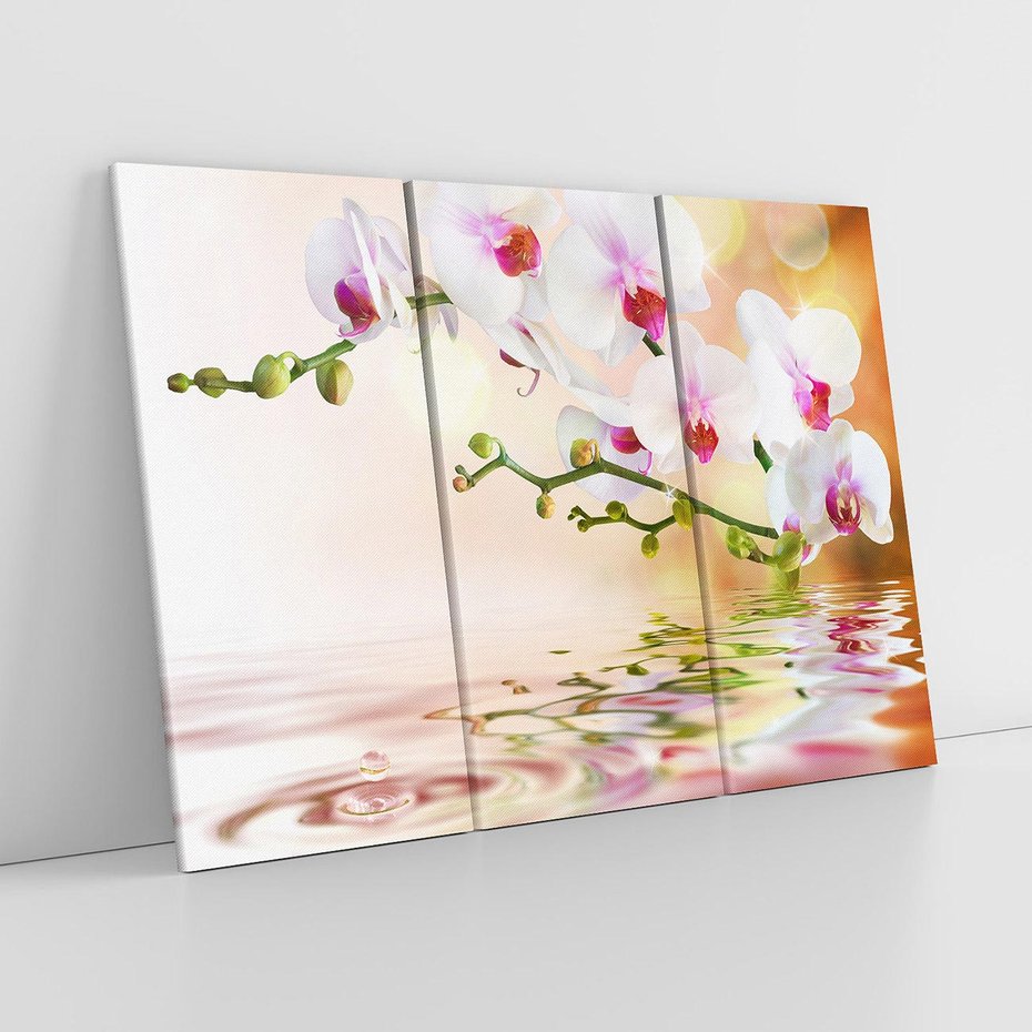 Obraz na płótnie 120x80 - Elegancja orchidei - orchidea, kwiaty