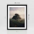 Plakat w ramie 40x50 - Zamglona Prostota - artystyczna fotografia, samotne drzewo na zamglonej łące - rama czarna