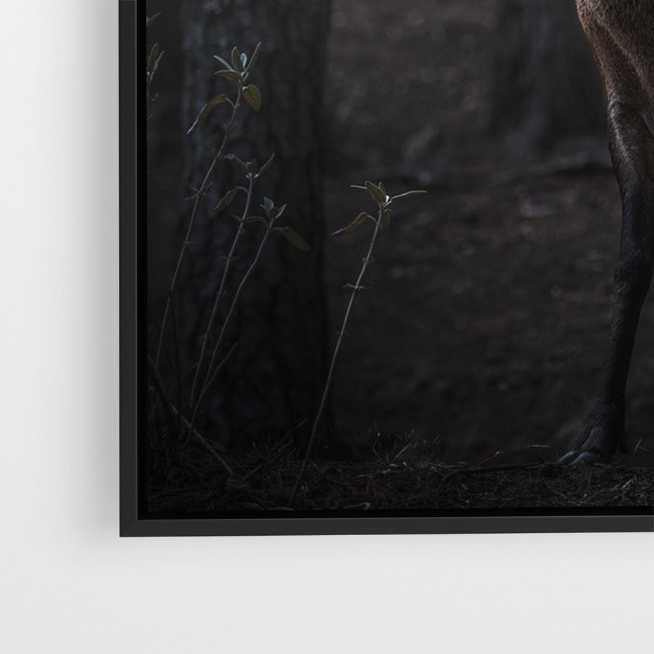 Obraz w ramie 70x100 - Jeleń wśród lasu - jeleń, las - rama czarna