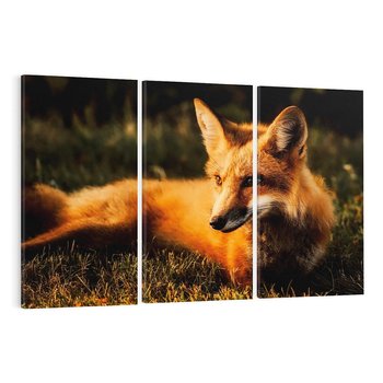 Obraz na płótnie 120x80 - Lisek w lesie - lis, lisek