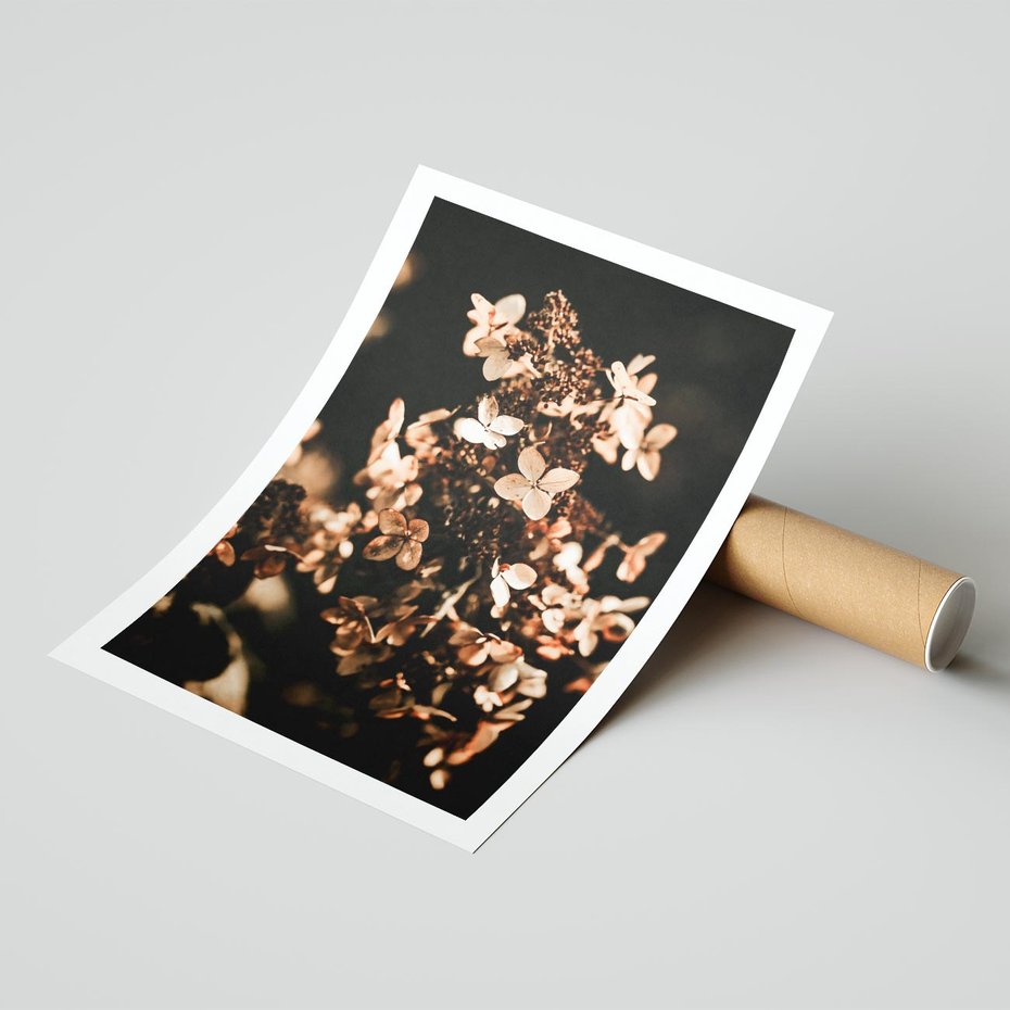 Plakat bez ramy 40x50 - Hortensja - Suchy Kwiat w Sztuce - hortensja, suchy kwiat