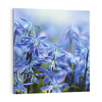 Obraz na płótnie 30x30 - Kwiatowa symfonia natury - kwiat, kwiaty