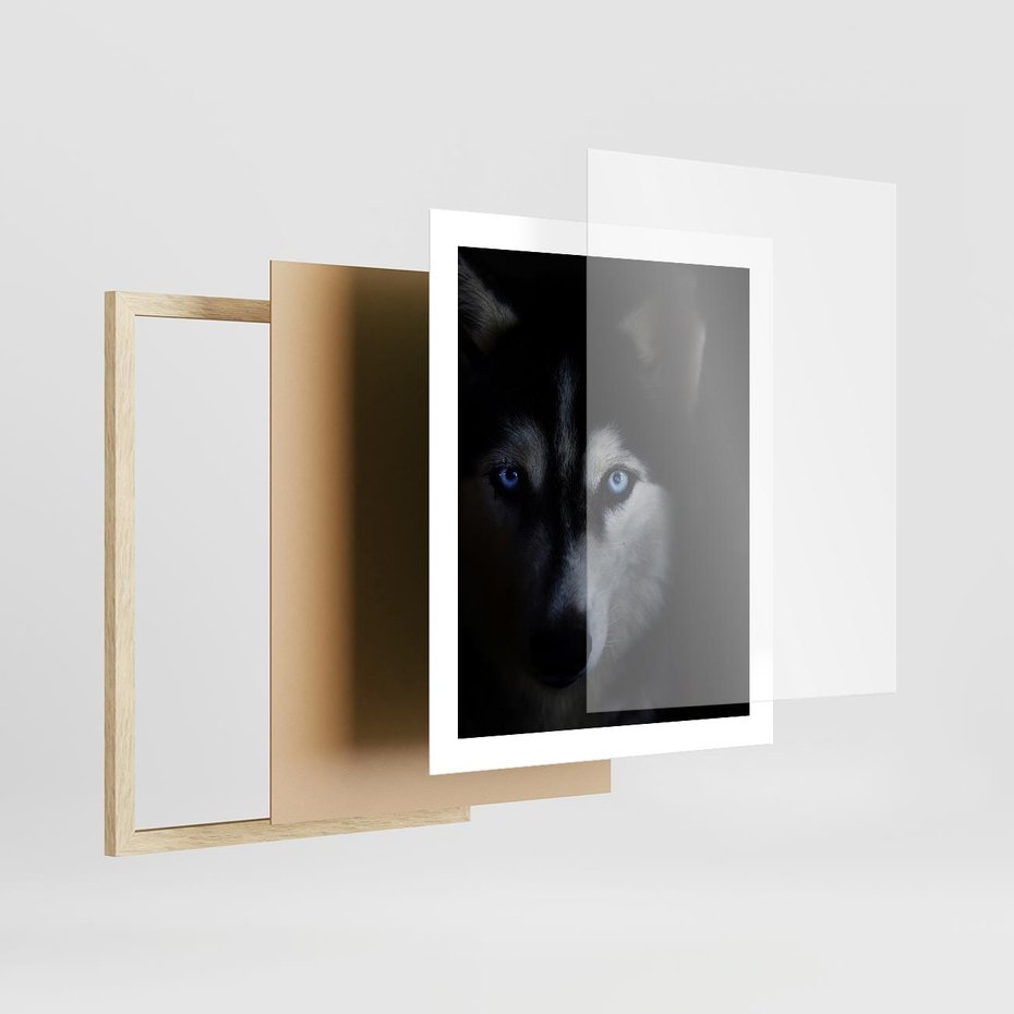 Plakat w ramie 40x50 - Wilk i husky: siła przyjaźni - wilk, husky - rama drewno