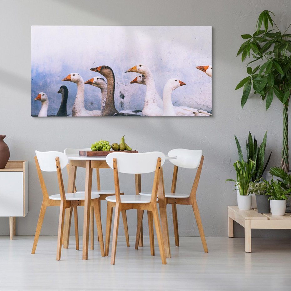 Obraz na płótnie 140x70 - Spotkanie Wśród Piór - uchwycony moment, fotografia