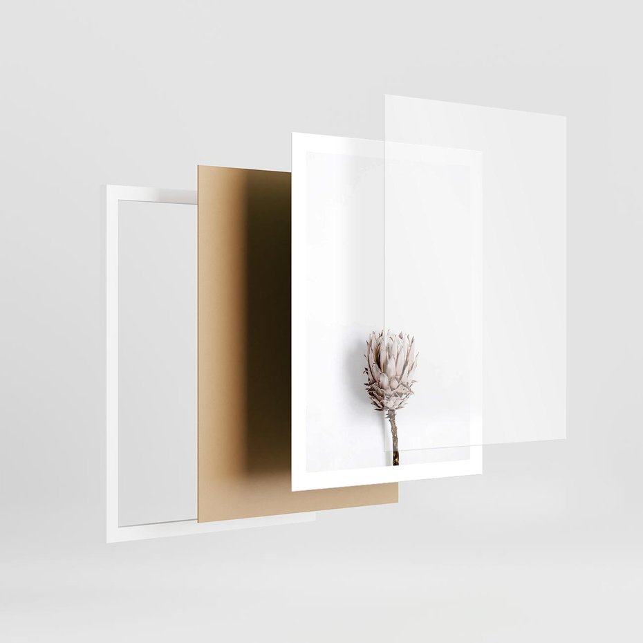 Plakat w ramie 50x70 - Suszona Roślina na Białym Tle - minimalizm, suszona roślina - rama biała