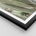 Plakat w ramie 40x50 - Duże Kaktusy w Pejzażu - kaktus, duże kaktusy na pustyni - rama czarna