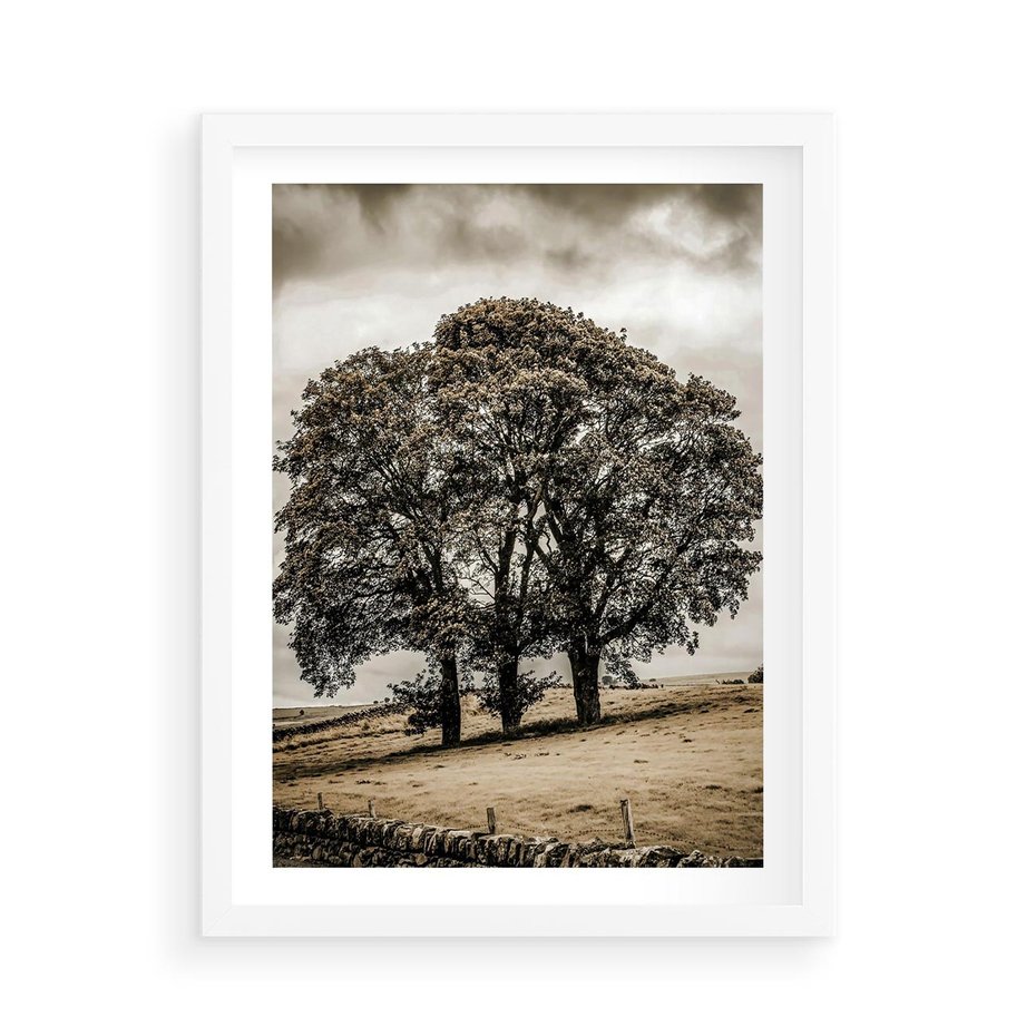 Plakat w ramie 50x70 - Spokojna Osamotniona Chwila - beżowe kolory, samotne drzewo na polu - rama biała