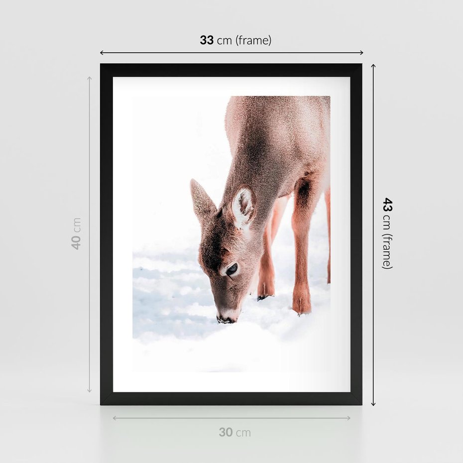 Plakat w ramie 30x40 - Sarna w Zimowym Raju - sarna, na śniegu - rama czarna