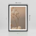 Plakat w ramie 50x70 - Subtelna gipsówka - gipsówka, suche - rama czarna