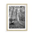 Plakat w ramie 50x70 - Spadające Liście - czarno białe zdjecie, park - rama drewno