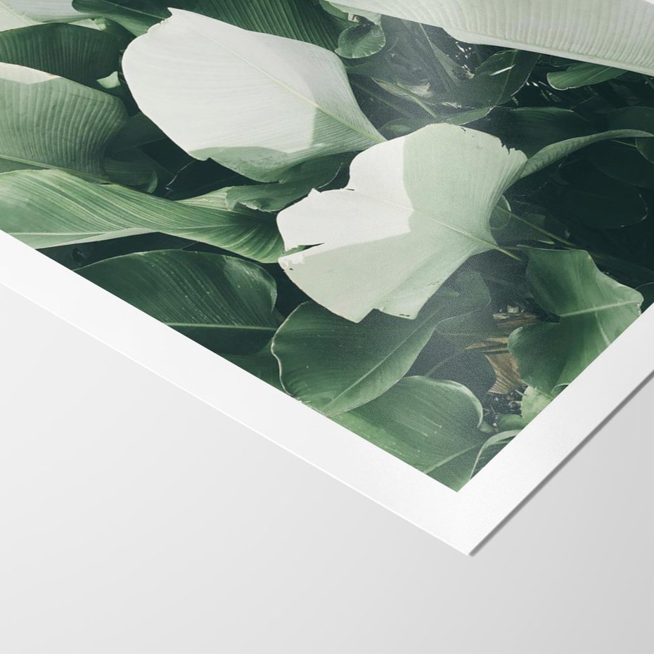 Plakat bez ramy 30x40 - Zgaszona Uroda Natury - zielone liście, zgaszona zieleń