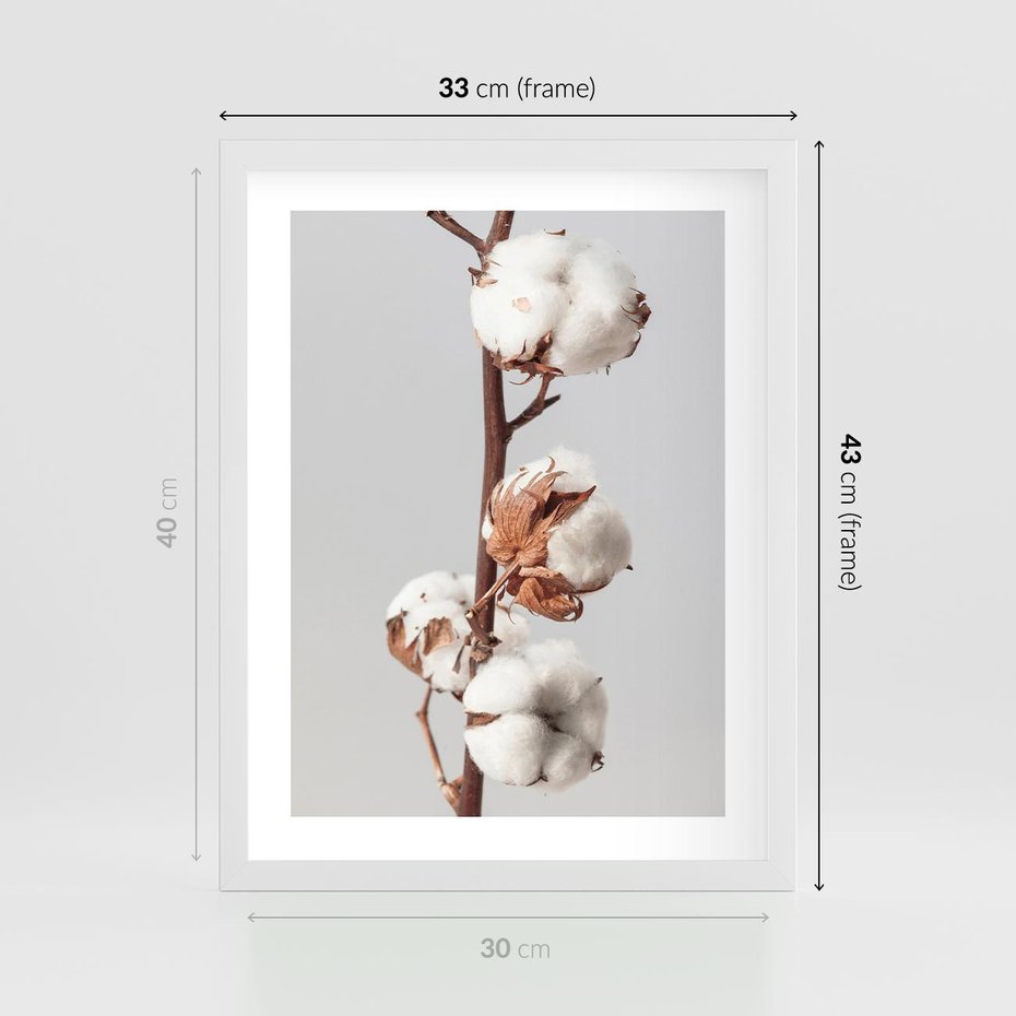 Plakat w ramie 30x40 - Spokojna Gałązka Bawełny - gałązka bawełny, prosta spokojna fotografia - rama biała