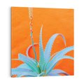 Obraz na płótnie 30x30 - Naturalna Harmonia - kaktusy, liście