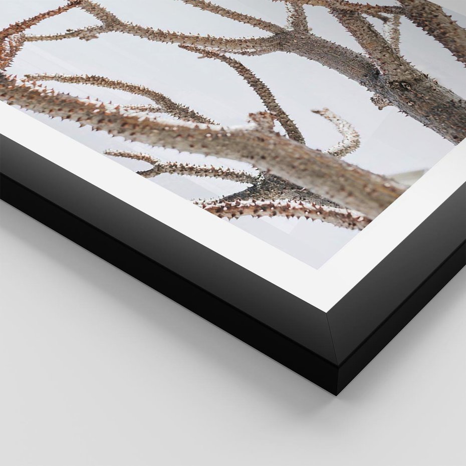 Plakat w ramie 30x40 - Pustynna Harmonia Gałęzi - pustynna roślina, suche gałęzie - rama czarna