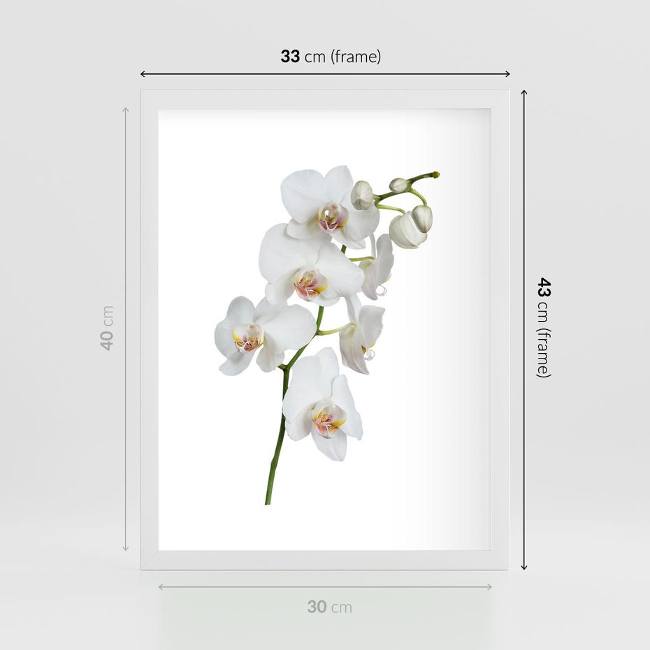 Plakat w ramie 30x40 - Ekskluzywny Relaks - storczyk, spa - rama biała