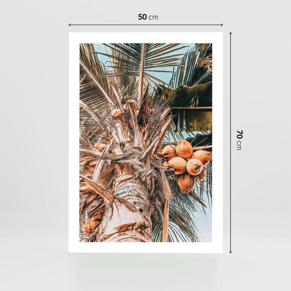 Plakat bez ramy 50x70 - Tropikalna Palma: Fotografia z Kokosami - palma kokosowa, kokosy