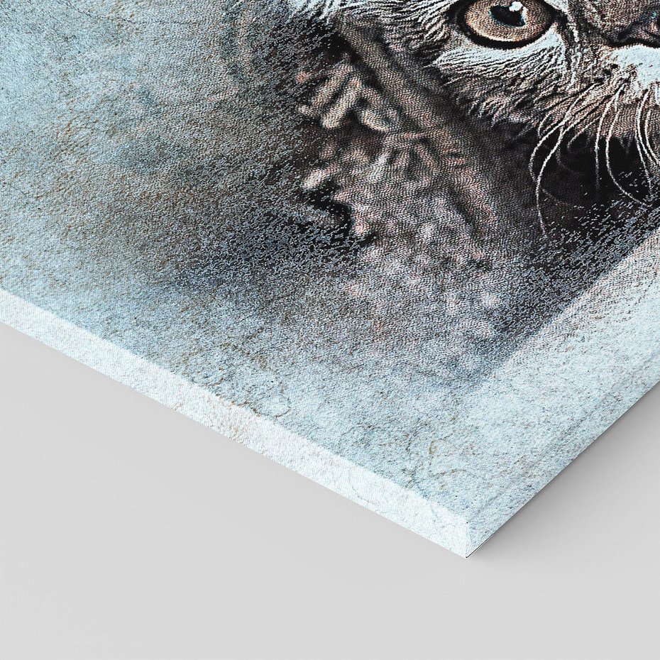 Obraz na płótnie 120x80 - Kot w abstrakcyjnym otoczeniu - kot, sztuka